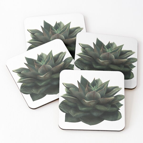 Item preview, Juicy Succulent designed and sold by MirandaOriginal.