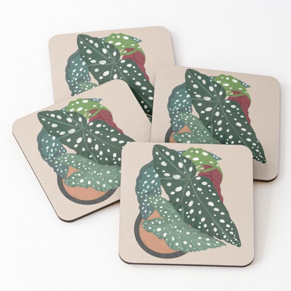 Item preview, Spotted Begonia Maculata Polka Dot Plant designed and sold by RosalieReeves.