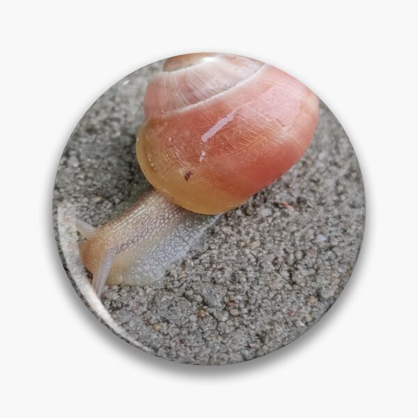 Item preview, Red Shell Snail designed and sold by Lohksparce.