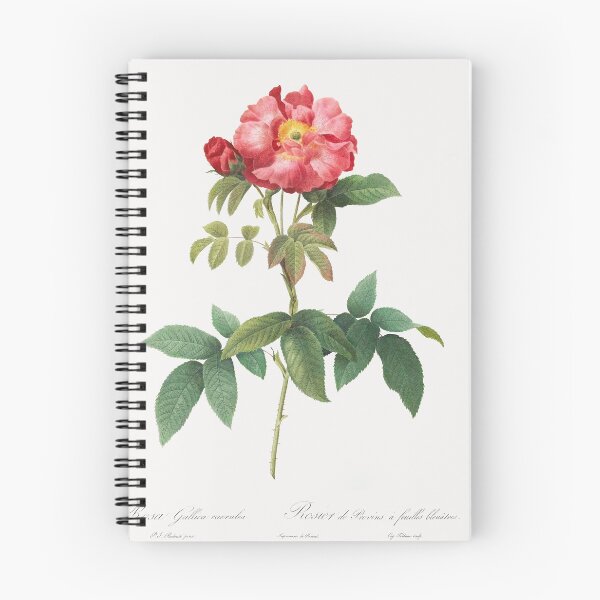 Item preview, Bluish-Leaved Provins Rose - Pierre-Joseph Redouté designed and sold by shencaben.