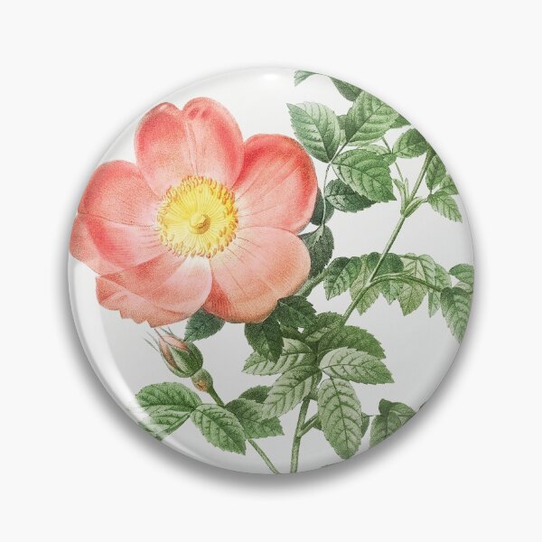 Item preview, Red sweet brier (Cherry Rosehip) (Rosa eglanteria sub rubra) - Pierre-Joseph Redouté. designed and sold by shencaben.