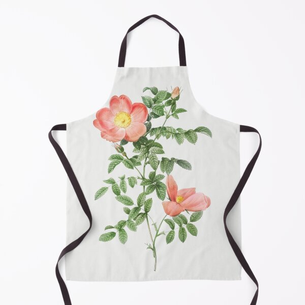 Item preview, Red sweet brier (Cherry Rosehip) (Rosa eglanteria sub rubra) - Pierre-Joseph Redouté. designed and sold by shencaben.