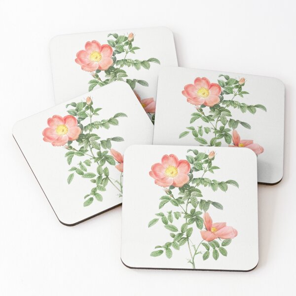 Item preview, Red sweet brier (Cherry Rosehip) (Rosa eglanteria sub rubra) - Pierre-Joseph Redouté. designed and sold by shencaben.