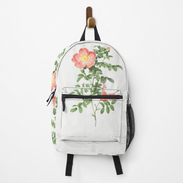 Item preview, Red sweet brier (Cherry Rosehip) (Rosa eglanteria sub rubra) - Pierre-Joseph Redouté. designed and sold by shencaben.