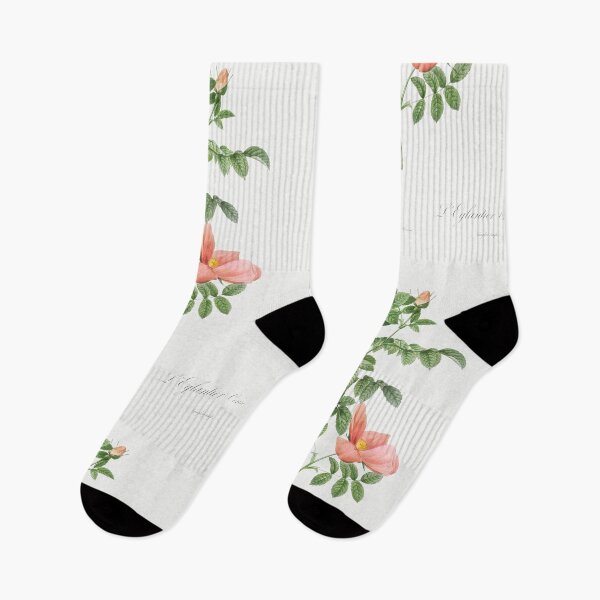 Item preview, Red sweet brier (Cherry Rosehip) (Rosa eglanteria sub rubra) - Pierre-Joseph Redouté. designed and sold by shencaben.