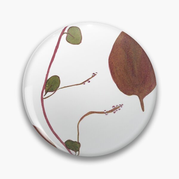 Item preview, Basella - Vintage hand-colored nature print from 1758 designed and sold by AuraSisters.