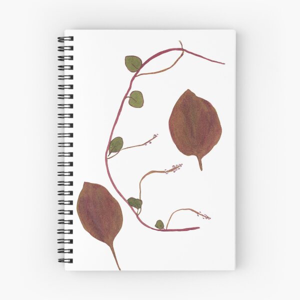 Item preview, Basella - Vintage hand-colored nature print from 1758 designed and sold by AuraSisters.