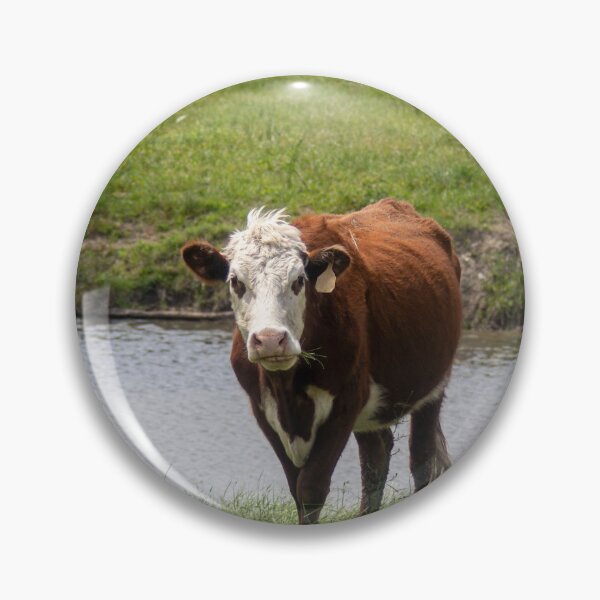 Item preview, Bathing Cow designed and sold by Peter Stawicki.