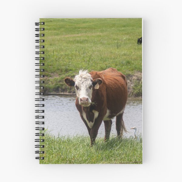 Item preview, Bathing Cow designed and sold by Peter Stawicki.