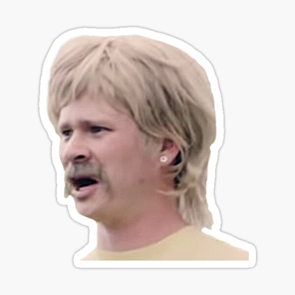 Boomer WTF-Ausschnitt Sticker