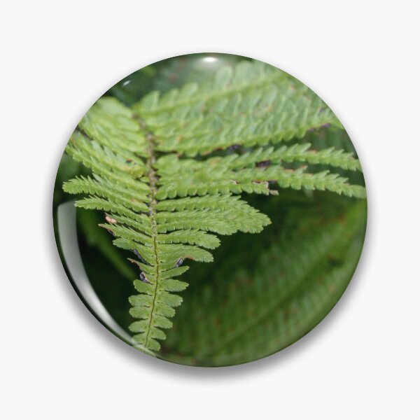 Item preview, Fern Frond designed and sold by Alan Ralph.