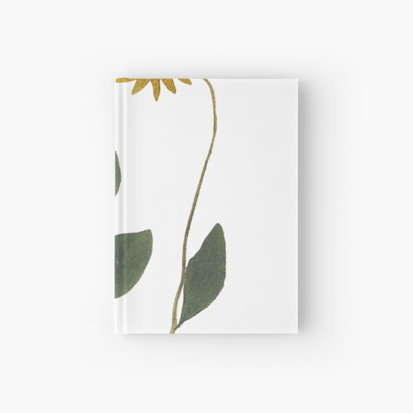 Item preview, Rudbeckia - Vintage hand-colored nature print from 1758 designed and sold by AuraSisters.