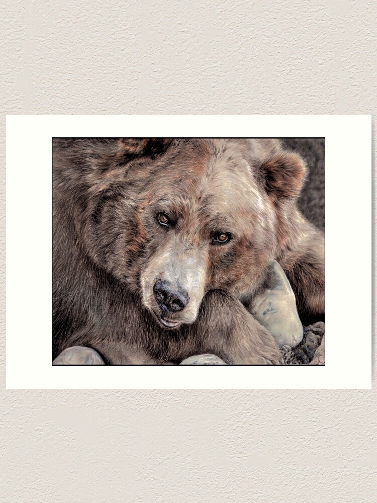 grizzly bear - Clip Art Library