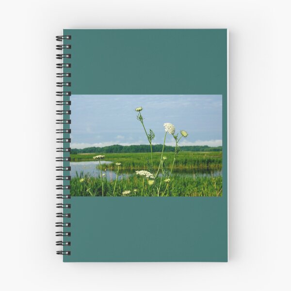 Item preview, wetland view designed and sold by C Schabowski.