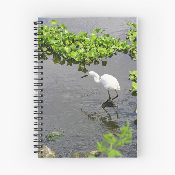 Item preview, Florida Snow designed and sold by InhumanImaging.