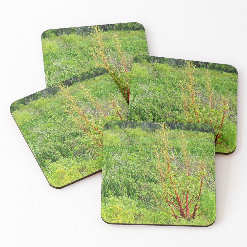 Item preview, Coasters (Set of 4) designed and sold by InhumanImaging.