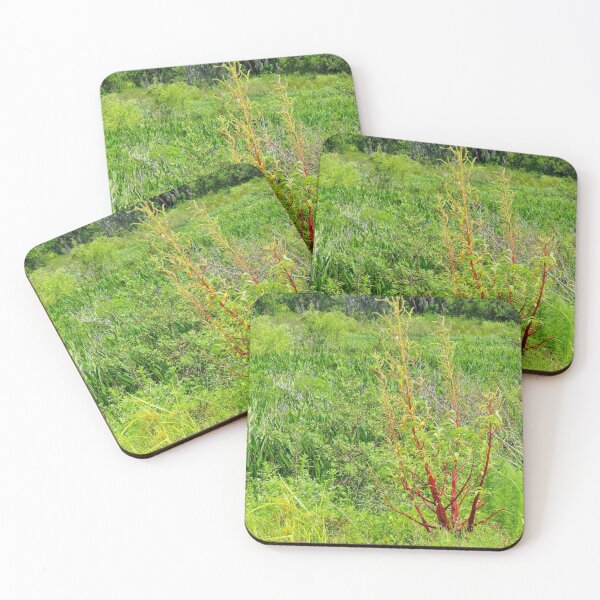 Item preview, Toxic Roots designed and sold by InhumanImaging.