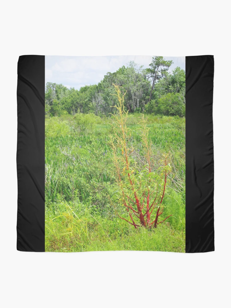 Thumbnail 2 of 3, Scarf, Toxic Roots designed and sold by InhumanImaging.