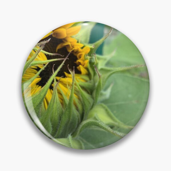 Item preview, Sunflower unfurling designed and sold by MaineCali.