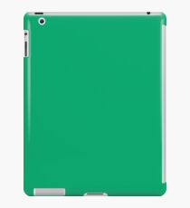 Jade-Colored iPad Case/Skin