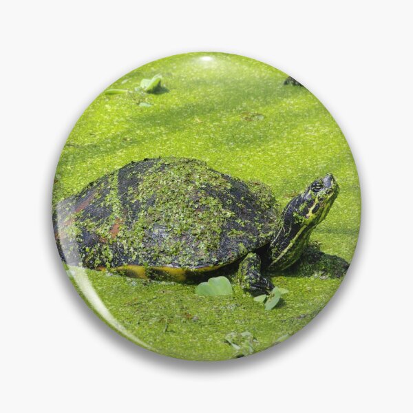 Item preview, Swamp Turtle designed and sold by InhumanImaging.