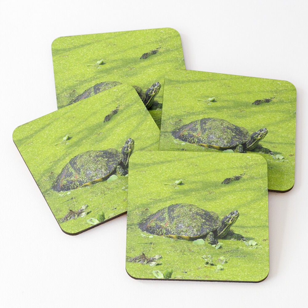 Item preview, Coasters (Set of 4) designed and sold by InhumanImaging.