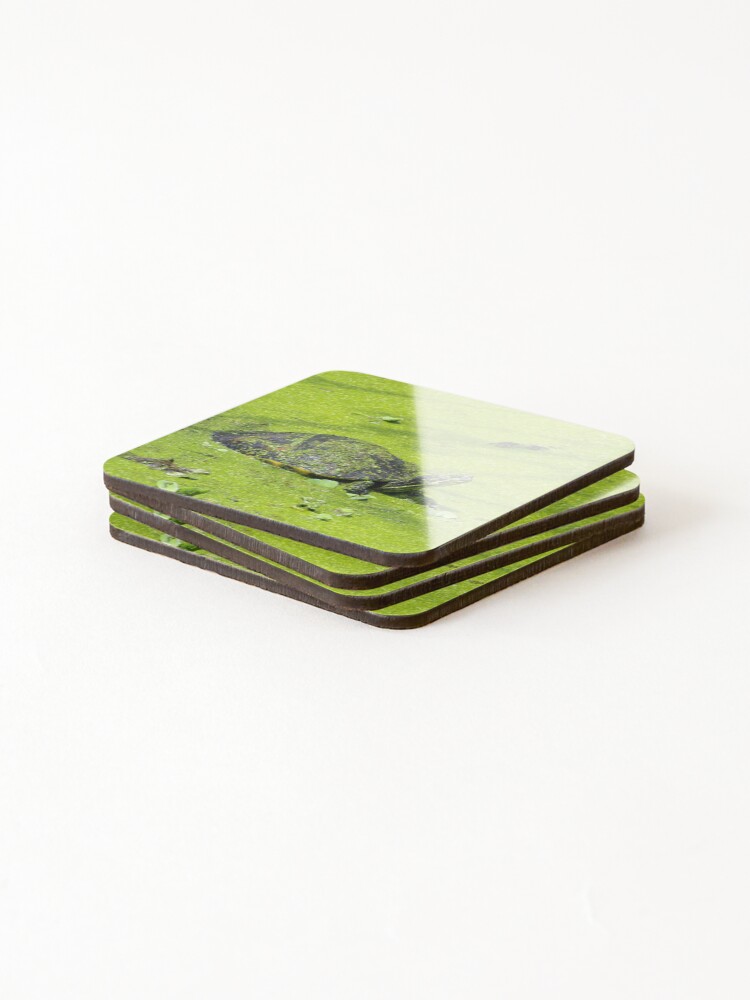 Thumbnail 4 of 5, Coasters (Set of 4), Swamp Turtle designed and sold by InhumanImaging.