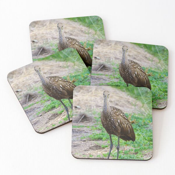 Item preview, Evil Limpkin designed and sold by InhumanImaging.