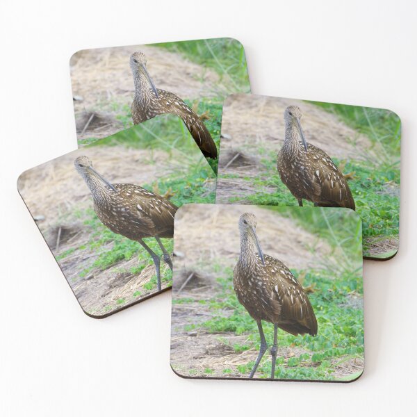 Item preview, Friendly Limpkin designed and sold by InhumanImaging.