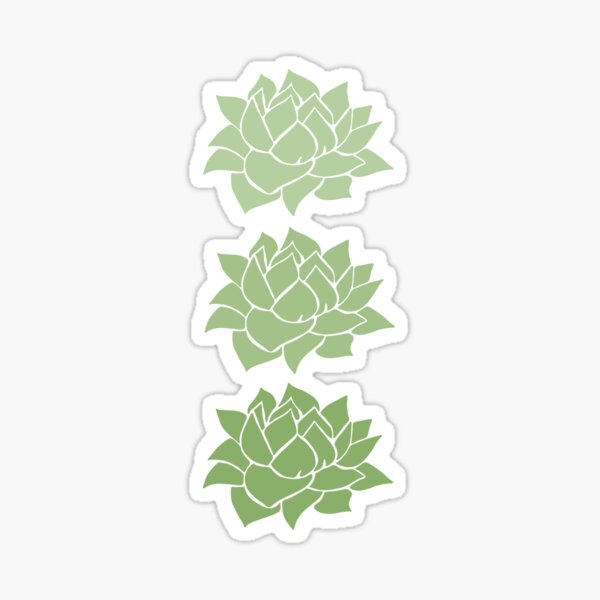 Three Succulents Sticker
