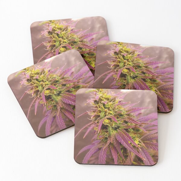 Item preview, Homegrown designed and sold by Havoc Mind.