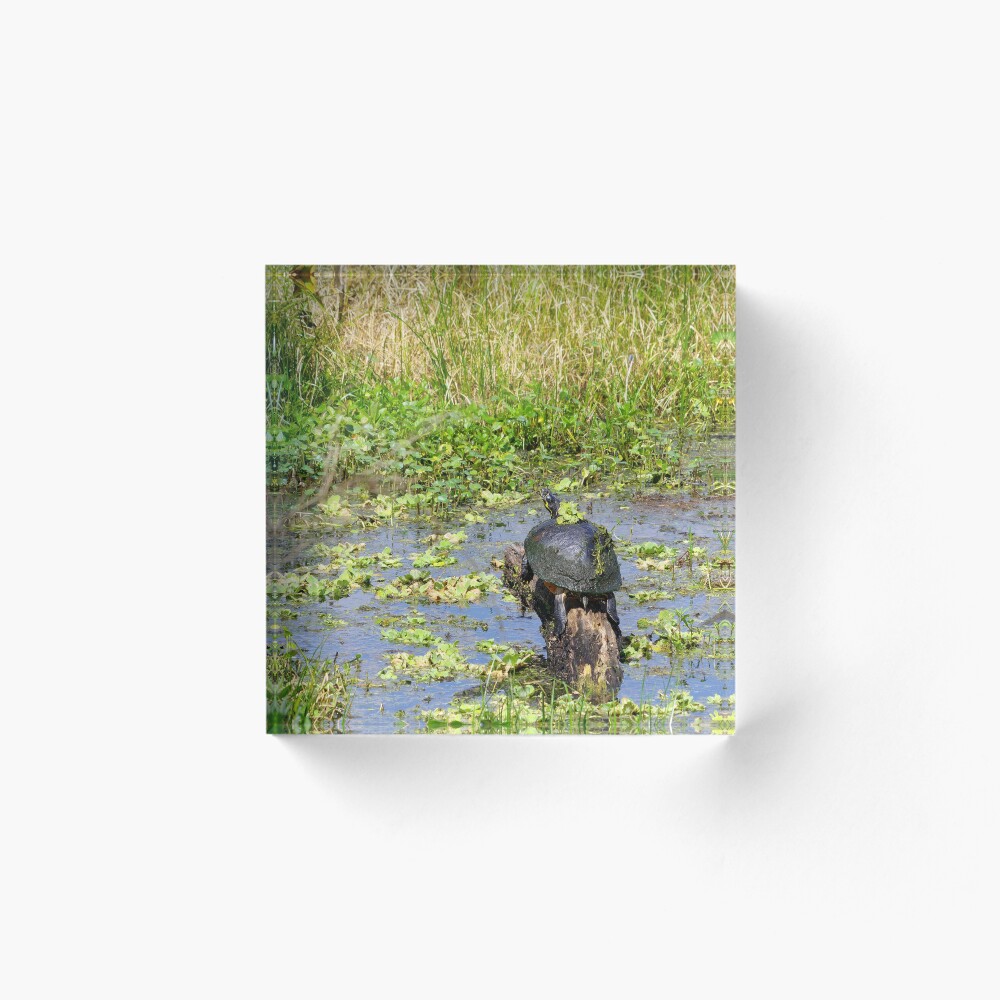 Item preview, Acrylic Block designed and sold by InhumanImaging.