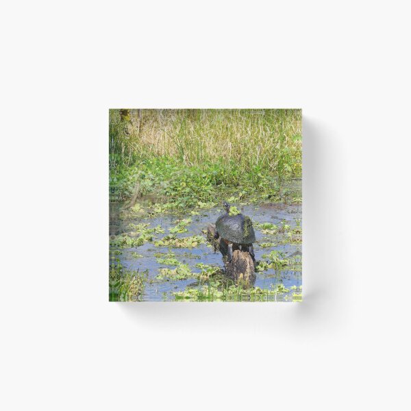 Item preview, Incognito designed and sold by InhumanImaging.