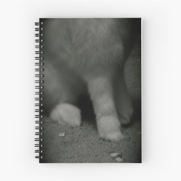 Item preview, Lucky Rabbits Feet designed and sold by KMorral.