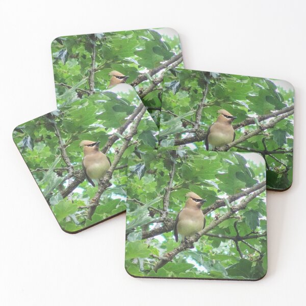 Item preview, Cedar Waxwing Bird in Oak Tree designed and sold by Kelley-Art.