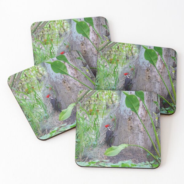 Item preview, Pileated Woodpecker designed and sold by InhumanImaging.