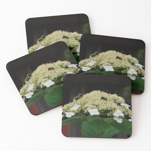 Item preview, Pollinators designed and sold by Izayo-Darke1.