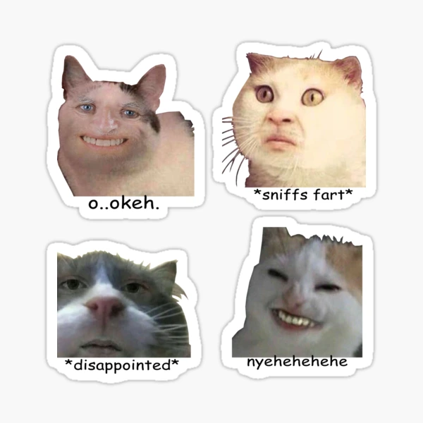 Polite cat meme, funny cat meme Sticker for Sale by ElevenGraphics