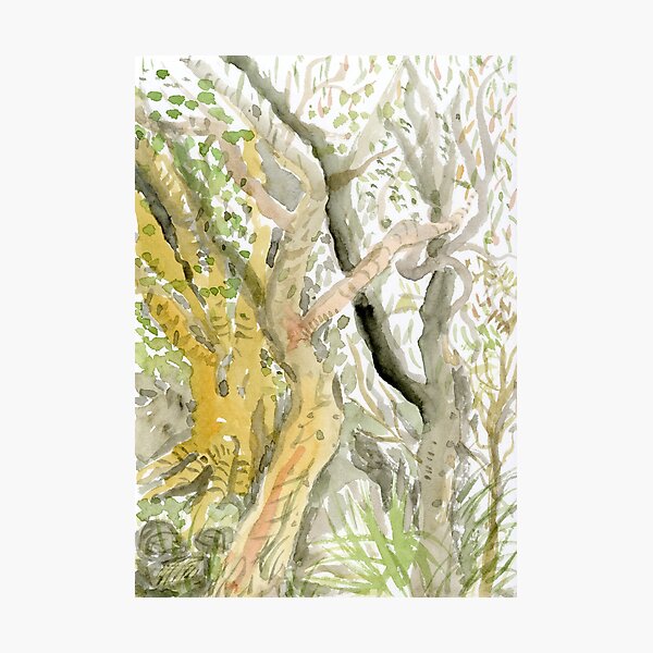 Item preview, Leafy Glade designed and sold by CeciliaBell.