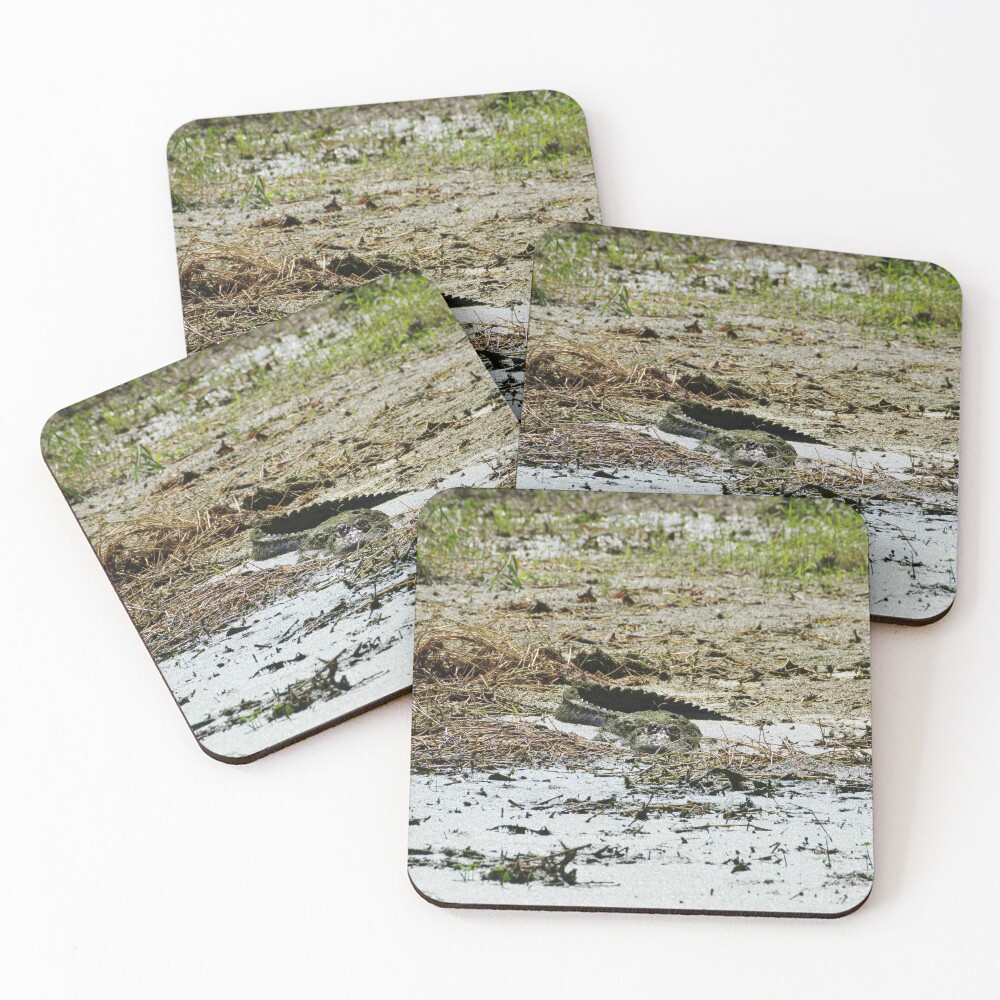 Item preview, Coasters (Set of 4) designed and sold by InhumanImaging.