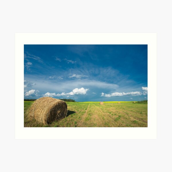 Under Prairie Skies Art Print