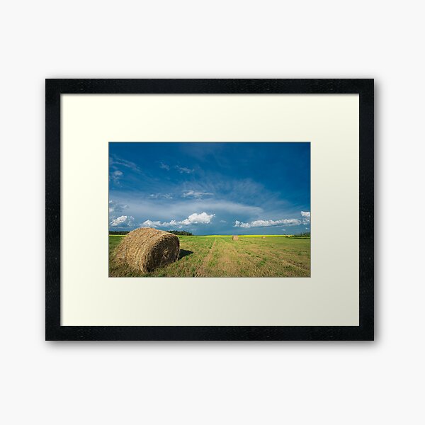 Under Prairie Skies Framed Art Print