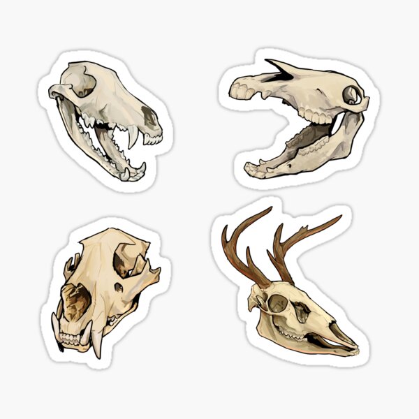 Deer Footprints Sticker