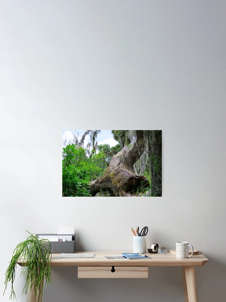 Thumbnail 2 of 3, Poster, Twisted Tree designed and sold by InhumanImaging.