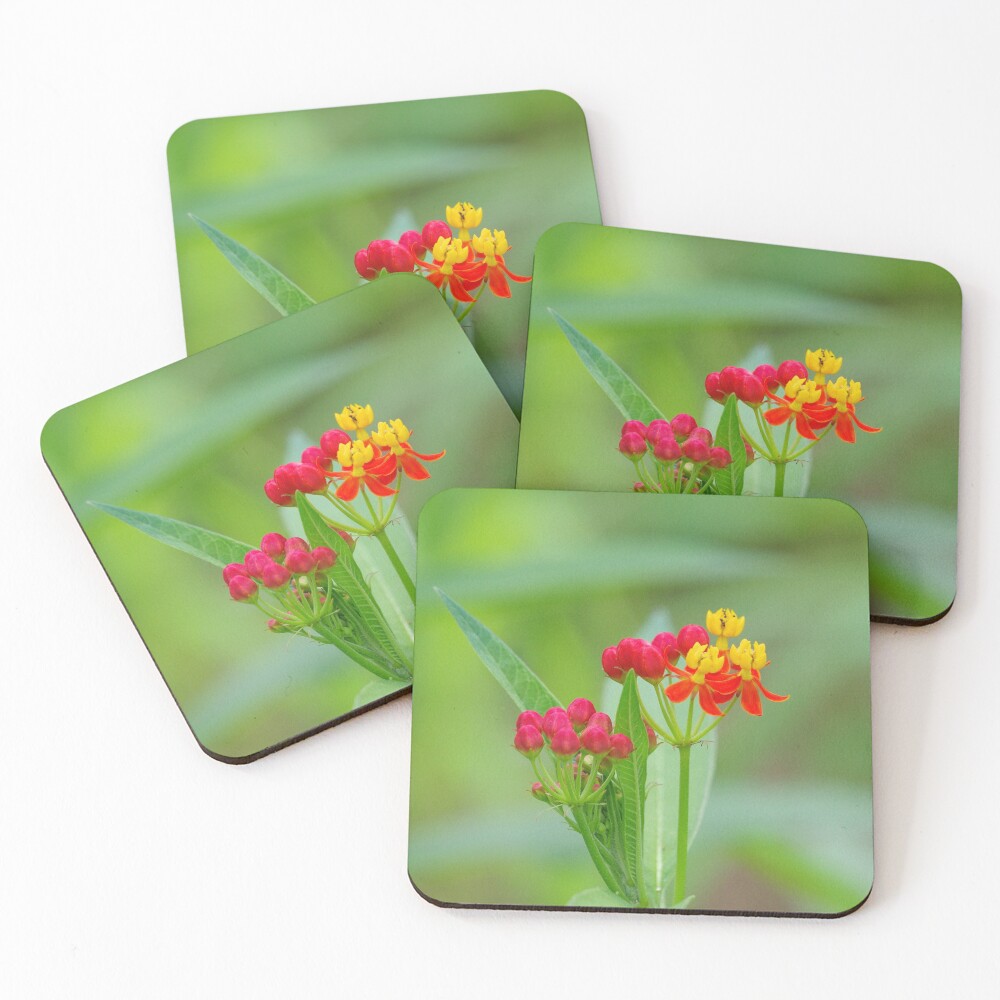 Item preview, Coasters (Set of 4) designed and sold by InhumanImaging.