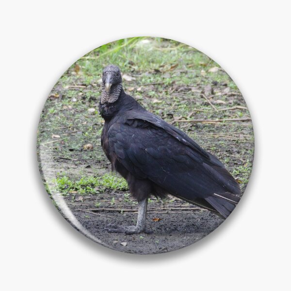 Item preview, American Black Vulture designed and sold by InhumanImaging.