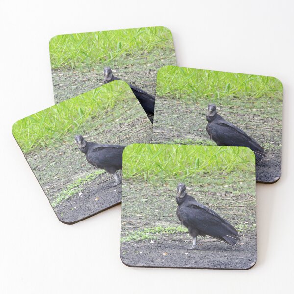 Item preview, American Black Vulture designed and sold by InhumanImaging.