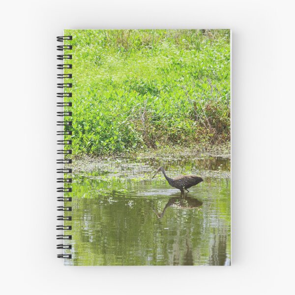 Item preview, Limpkin on the Hunt designed and sold by InhumanImaging.