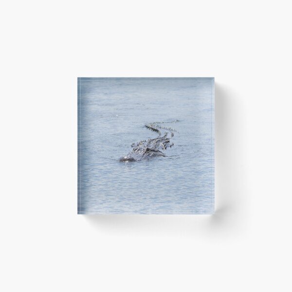 Item preview, A Fast Approach designed and sold by InhumanImaging.
