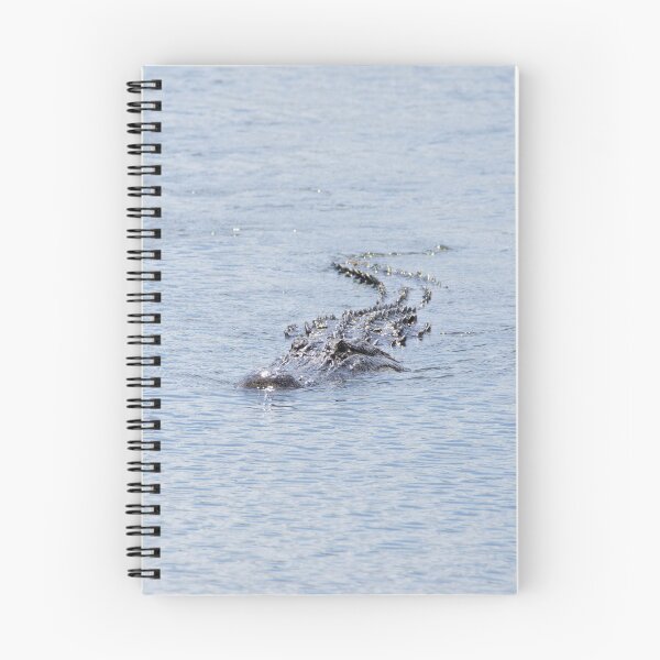 Item preview, A Fast Approach designed and sold by InhumanImaging.
